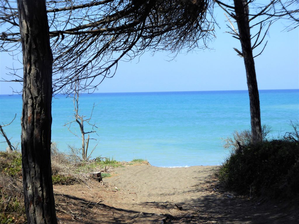 Cecina Beach in der Toskana