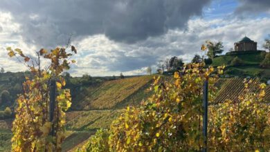 Photo of Entdecke den Rotenberg und die Württembergische Grabkapelle: Eine malerische Rundwanderung im Herzen der Schwäbischen Weinberge