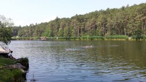 Vösler Weiher - Badesee bei Völs