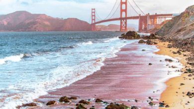 Photo of Die 21 besten Orte, die du in San Francisco nicht verpassen solltest