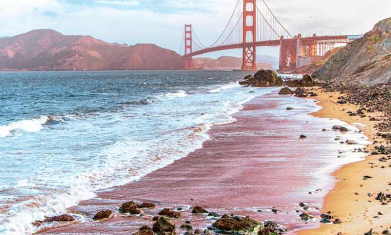 Photo of Die 21 besten Orte, die du in San Francisco nicht verpassen solltest