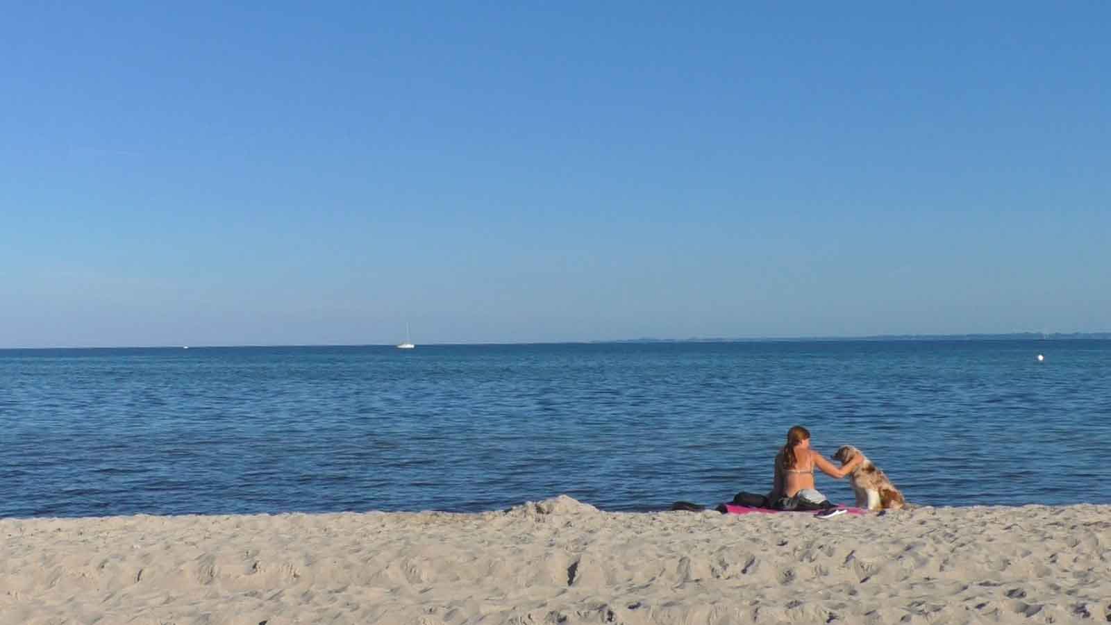 Photo of Grömitz an der Ostsee 2020 – Der Hundestrand im Check (mit Video)