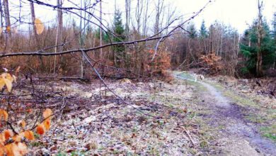 Photo of Nassachtal: Tal der Frohen in Uhingen – Sehenswürdigkeiten & Ausflugsziele um Stuttgart