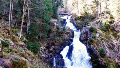 Photo of Die Triberger Wasserfälle im Schwarzwald – Deutschlands höchste Wasserfälle